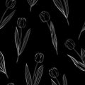 Seamless pattern flowers tulips white on black background vector illustration Royalty Free Stock Photo